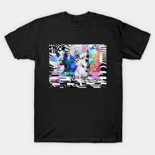 twerp city sntich T-Shirt